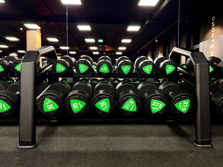 Set polyurethaan halters 1-10kg (stappen van 1 kg) 110 kg - UpForm